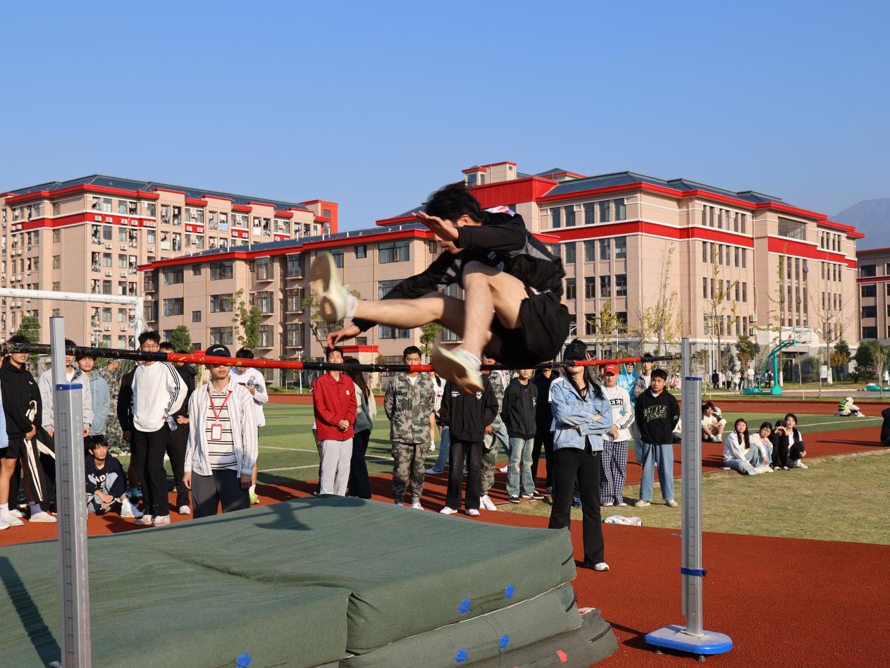 微信图片_20241108100416